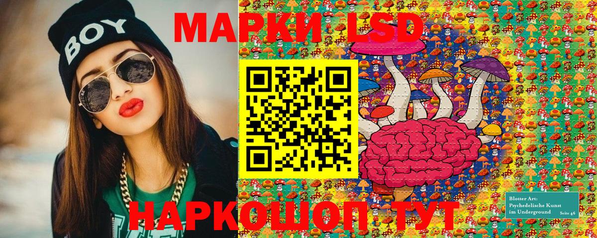 Зеленогорск  Марки N-bome 1500мкг  Марки NBOMe  Марки N-bome 1500мкг  Вход с VPN 