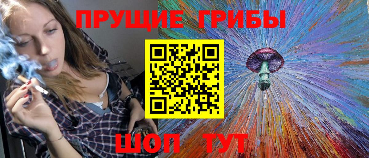 Зеленогорск  Псилоцибиновые грибы MAGIC MUSHROOMS  Вход с VPN  Псилоцибиновые грибы прущие грибы 