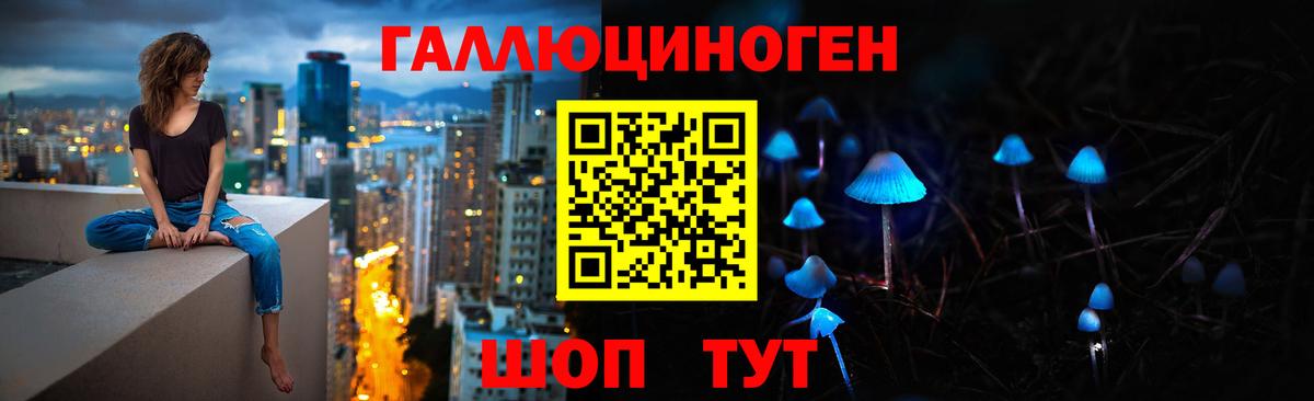 Галлюциногенные грибы Psilocybe Зеленогорск